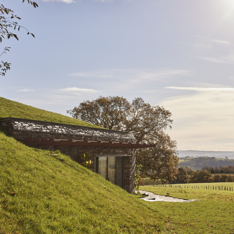 Green roofs for biodiversity