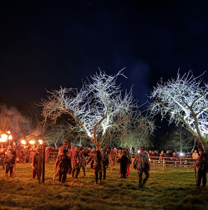 Somerset architects bless apples at wassailing event