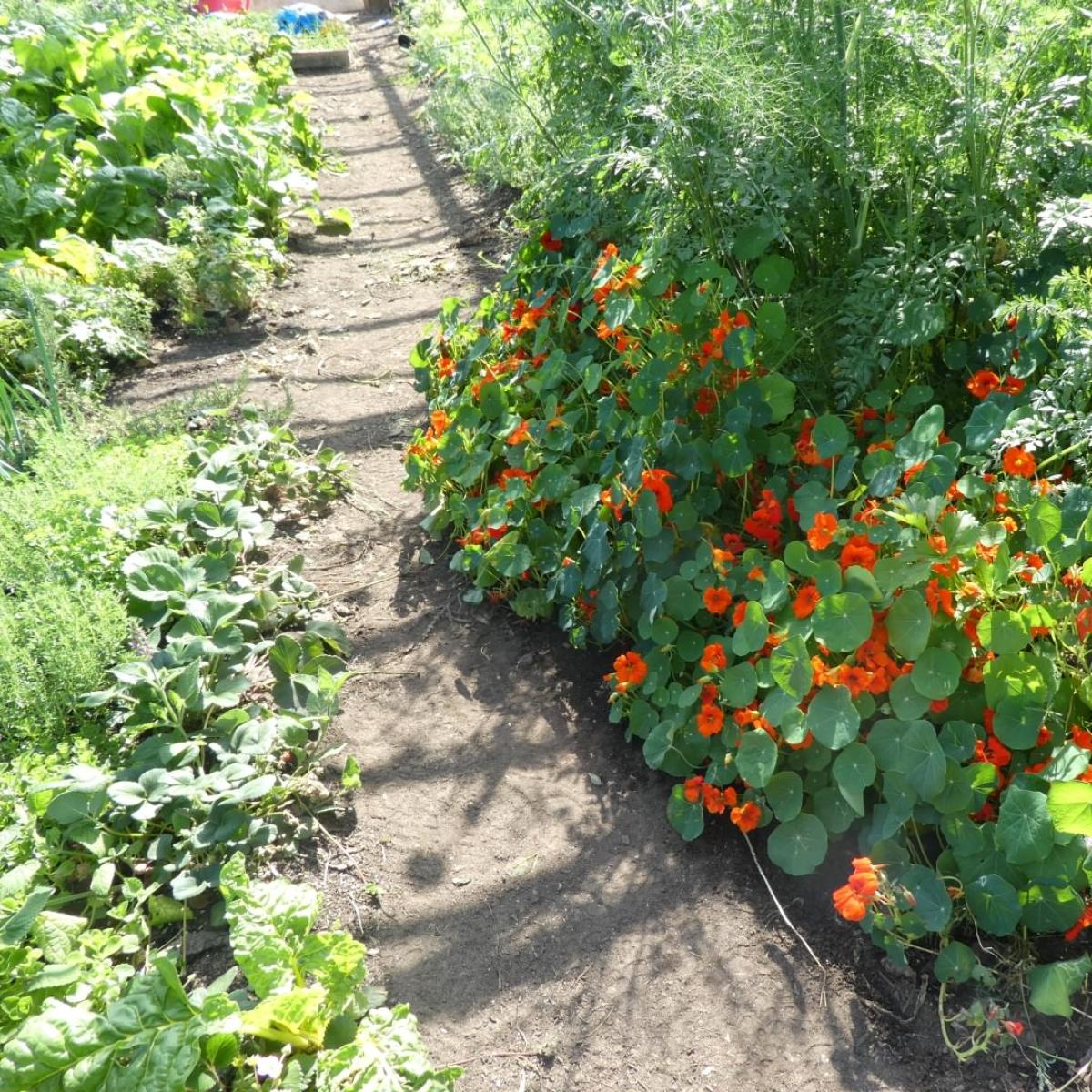 1213 Devon Farm building architects design 3