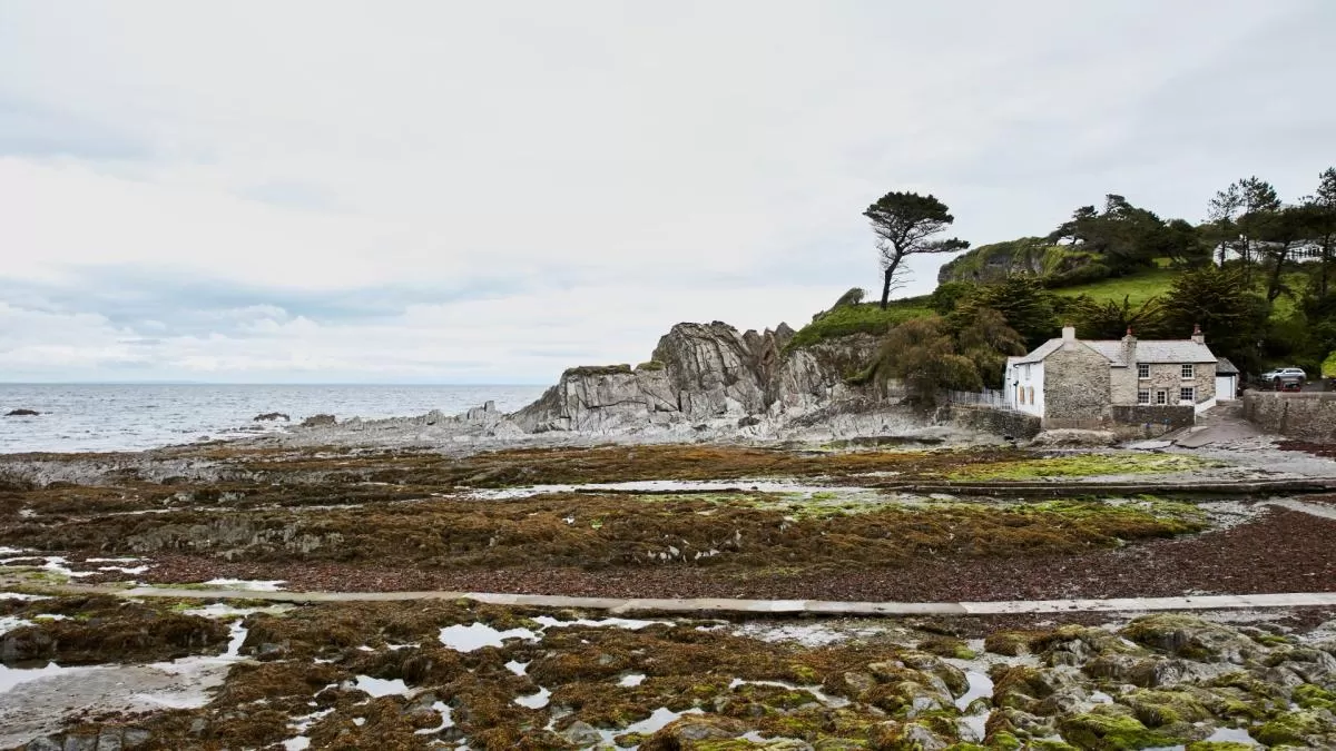 Mill House conservation view (Large)