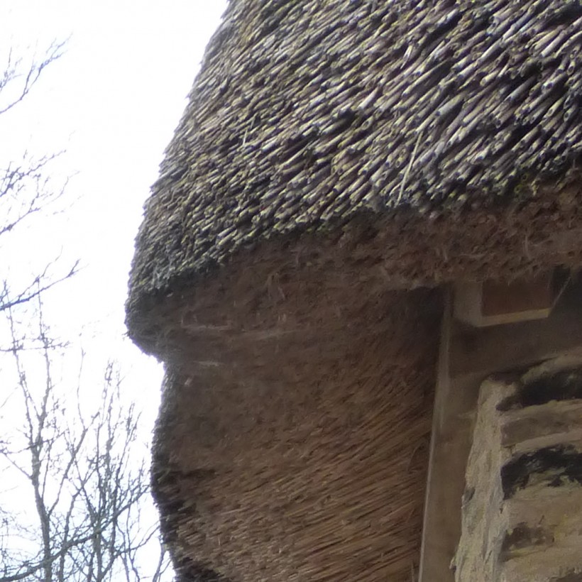 Technical blog - What to consider when thinking of buying a thatched property